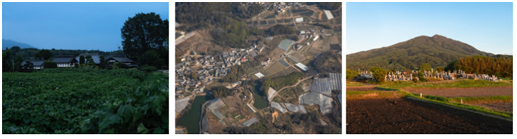 中古樹さんの作品