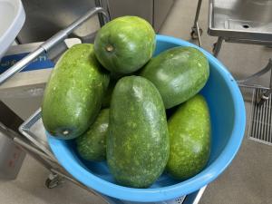 とうがんの写真