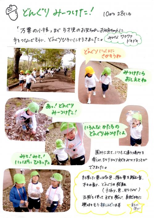 どんぐり