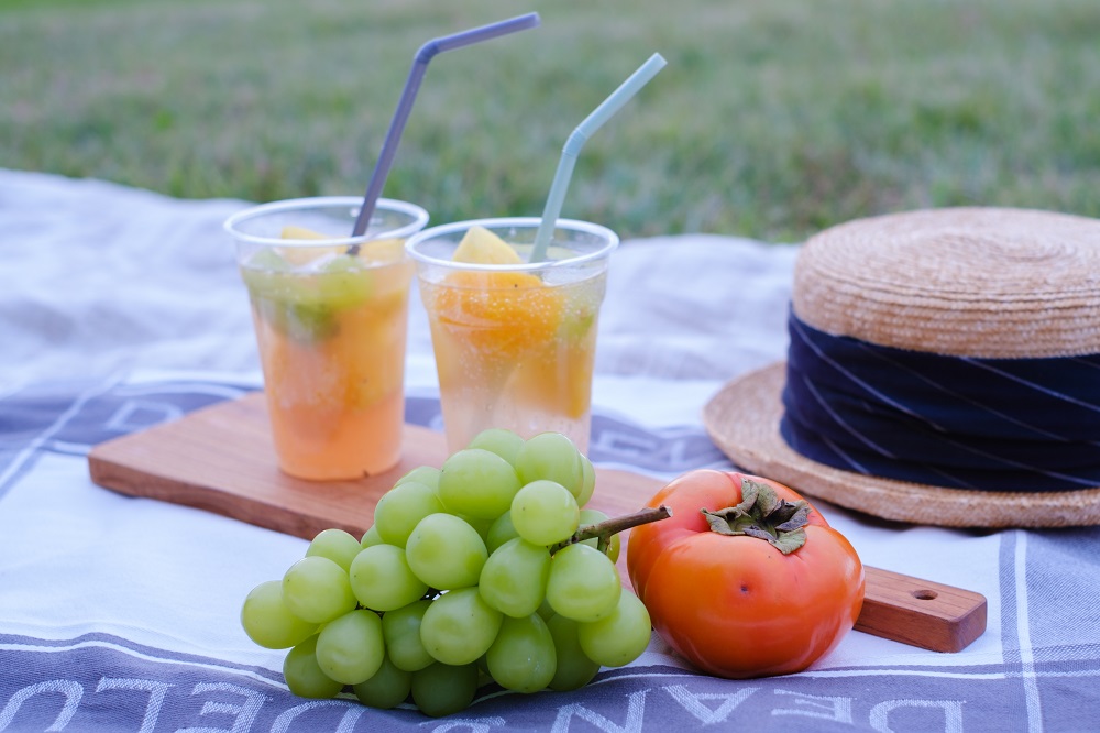 ピクニックin 平城宮跡 (photo by mitto) くらしの風景