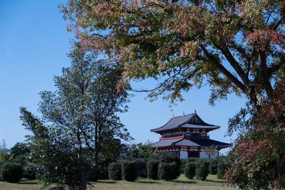 ピクニックin 平城宮跡 (photo by mitto) くらしの風景