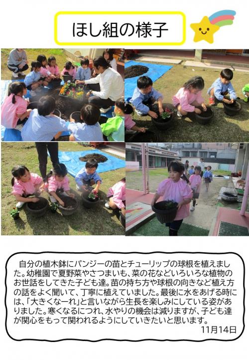 ほし組の様子