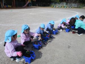 はなにじ