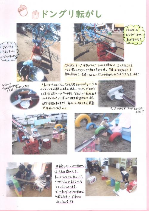 ぞうぐみ　どんぐり転がし