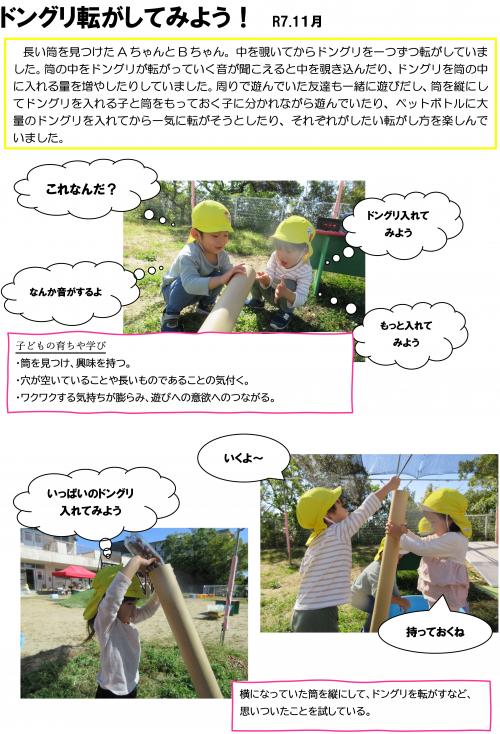 ドングリ転がしてみよう１