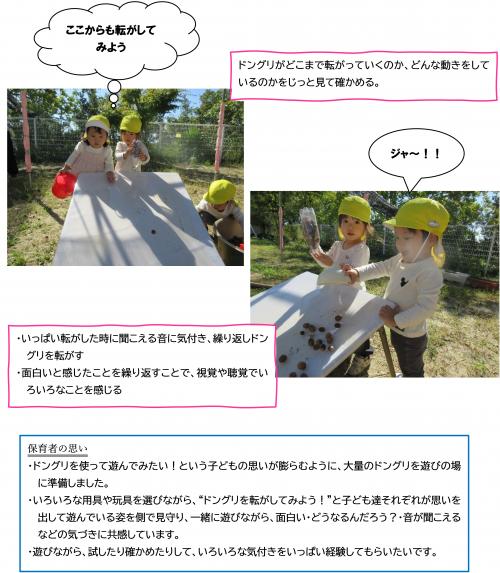 ドングリ転がしてみよう２