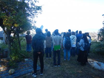 裏山からの景色