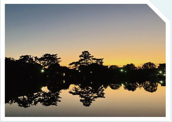 レモンケーキさん撮影写真