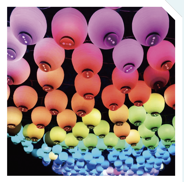 ヤマさん撮影写真