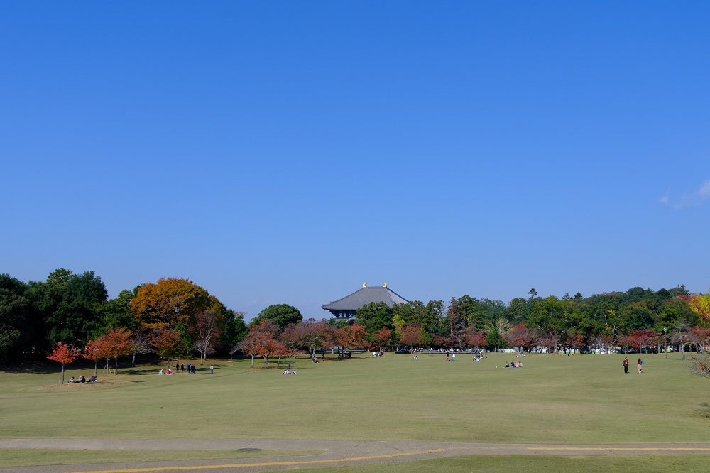 秋の奈良公園６(photo by mitto) 季節、くらしの風景