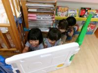 ２歳児　かくれんぼ
