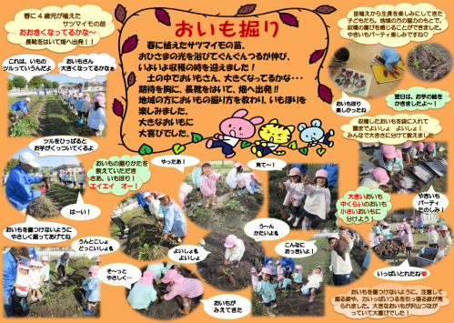 いも