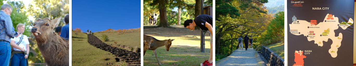 トレジャーハント