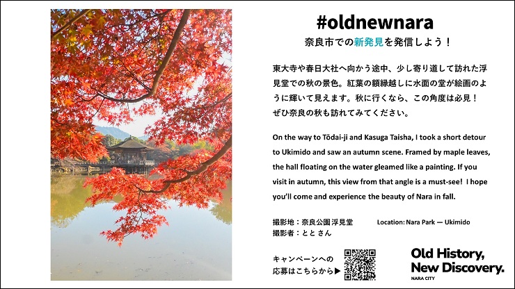 放映中の画像　浮御堂