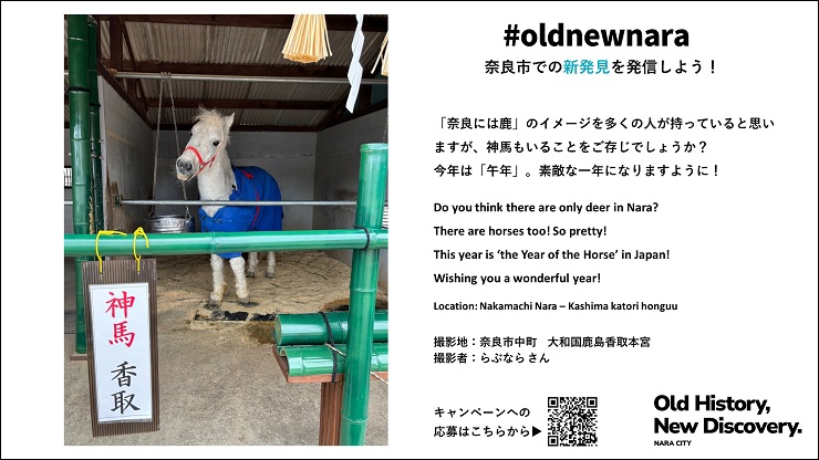 放映中の画像　大和国鹿島香取本宮