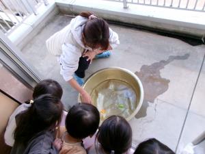 氷遊びの様子3