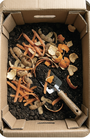 画像コンポスト