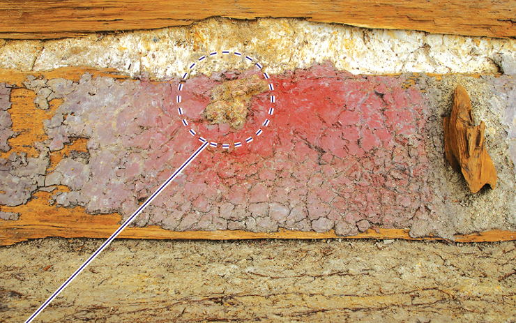 画像木棺内の謎の朱色