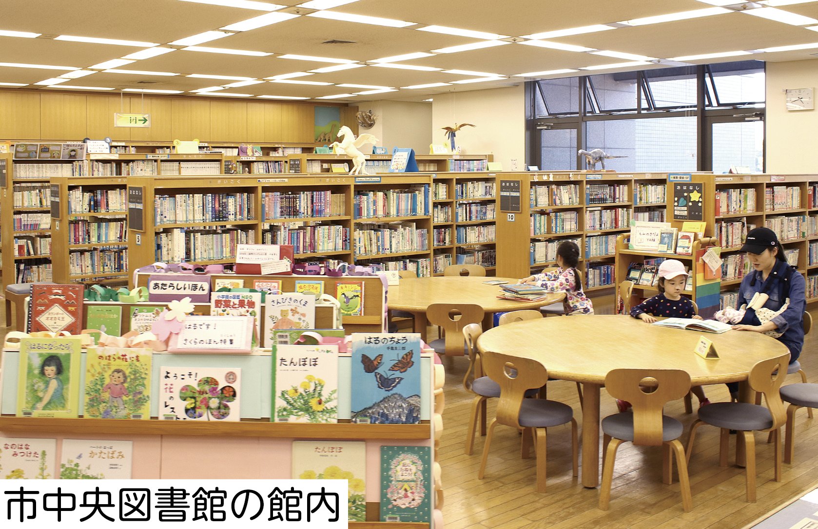 画像市中央図書館