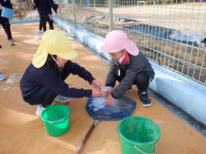 佐保幼　2月プール氷３