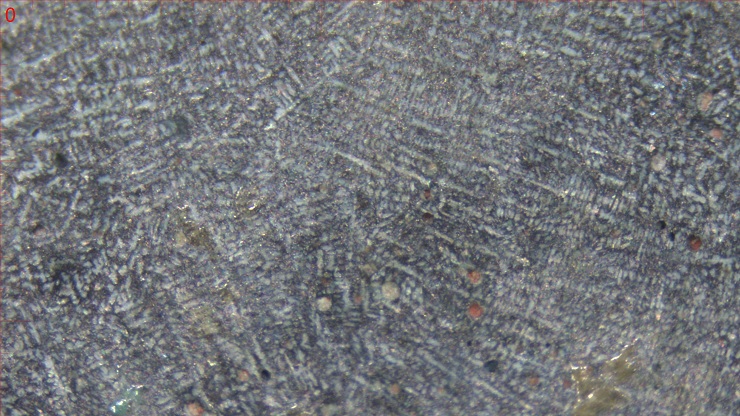 鏡面のデンドライトと巣・窪み内の赤色物質　画像1