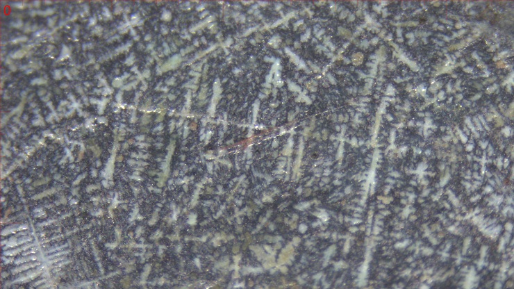 鏡面のデンドライトと研磨擦痕内の赤色物質　画像