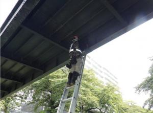 橋の下を梯子を使って点検作業をしている画像