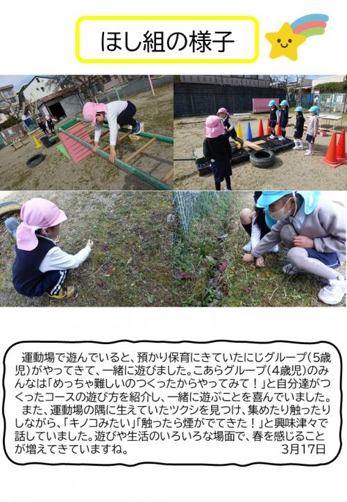 ほし組の様子