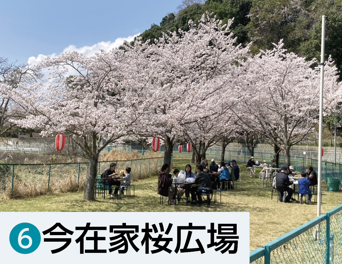 ⑥今在家桜広場