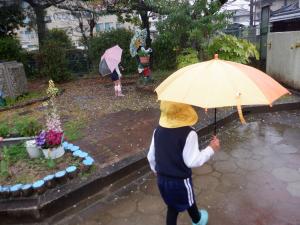 佐保幼　4月雨の散歩2