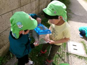 5歳児が虫探しを楽しんでいる様子