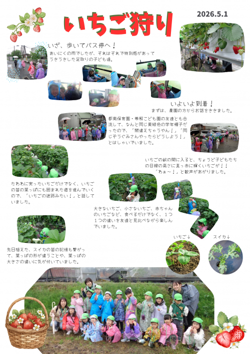 いちごがり