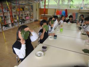 柏餅おいしいね