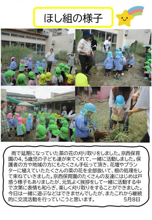 ほし組の様子