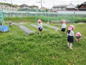 うさぎごがつ5