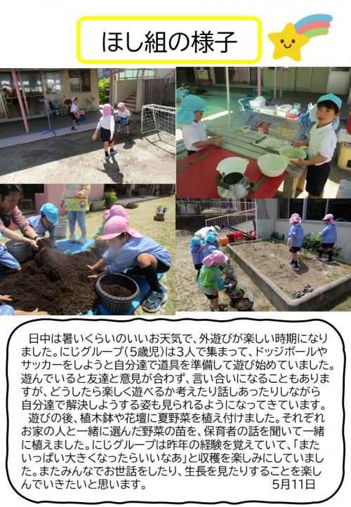 ほし組の様子