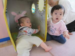 箱の中に入って、「ばぁー」と顔を見せているところ