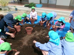植木鉢に土を入れよう