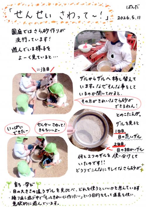 せんせい