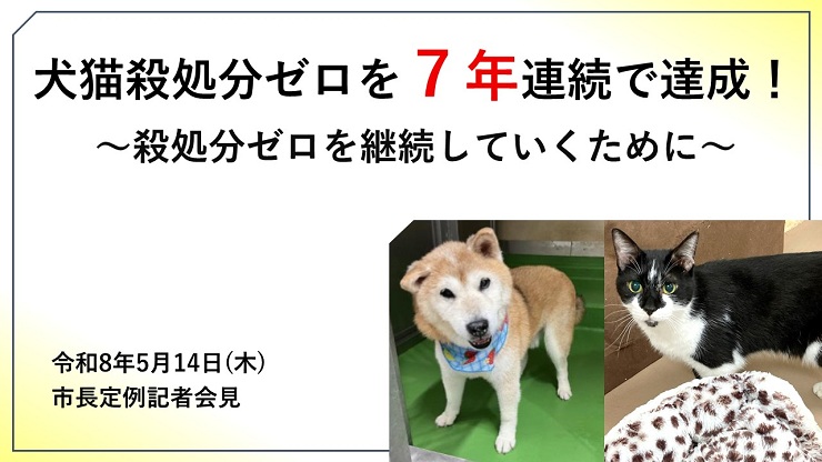 犬猫殺処分ゼロを7年連続で達成!~殺処分ゼロを継続していくために~