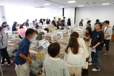譲渡会の様子