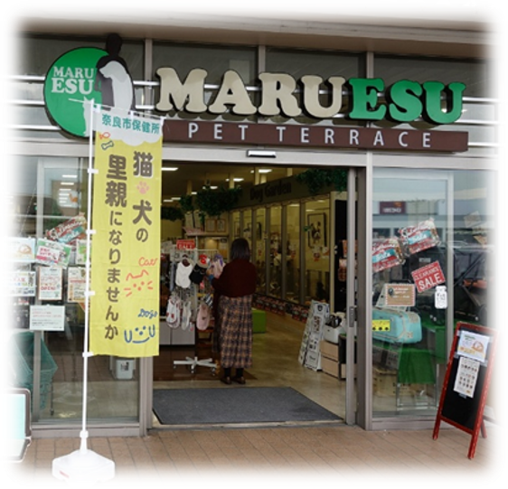 犬猫パートナーシップ店制度の様子3