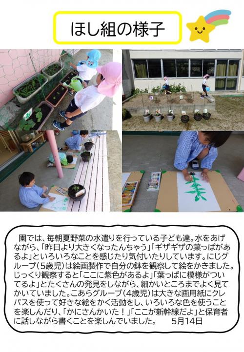 ほし組の様子