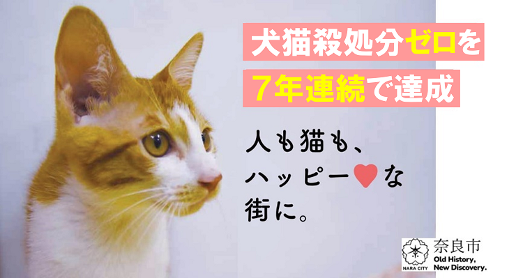 犬猫殺処分ゼロを7年連続で達成 人も猫も、ハッピーな街に。