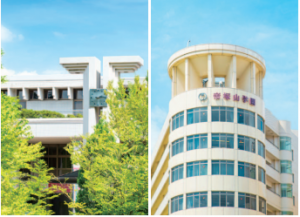 帝塚山大学の画像