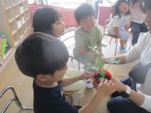 苗植え