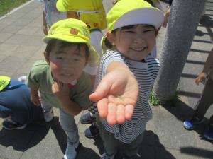 遠足3