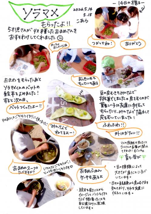 さら
