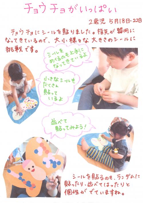 チョウチョがいっぱい2歳児ひよこぐみ