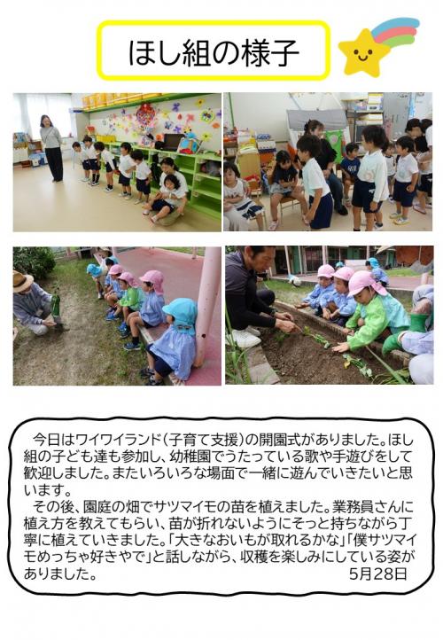 ほし組の様子